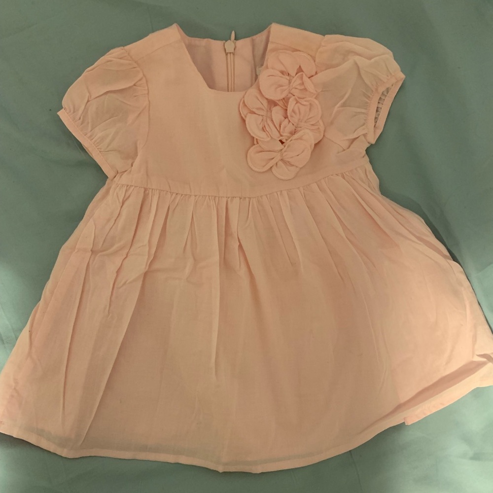 Pink Dress (6-9 months)